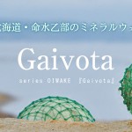 gaivota受賞1